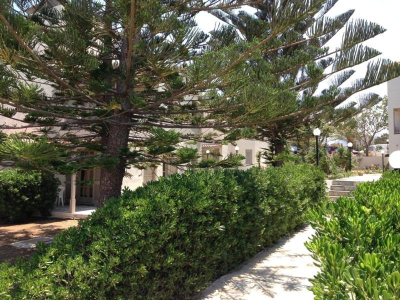 Panorama-Seaview Studios & Apartments Hersonissos  Exteriér fotografie